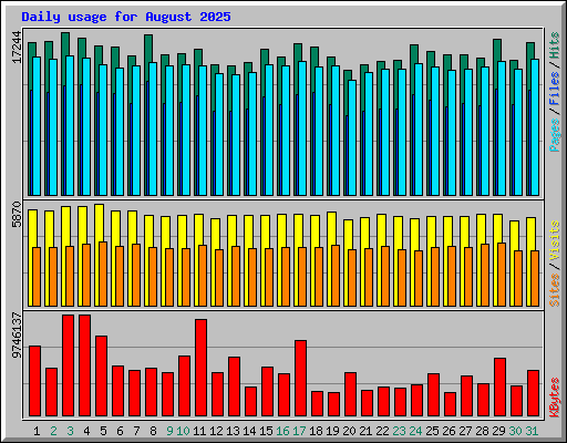 Daily usage for August 2025