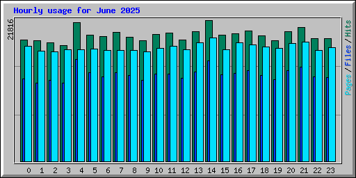 Hourly usage for June 2025