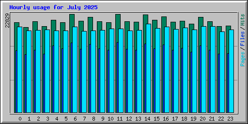 Hourly usage for July 2025