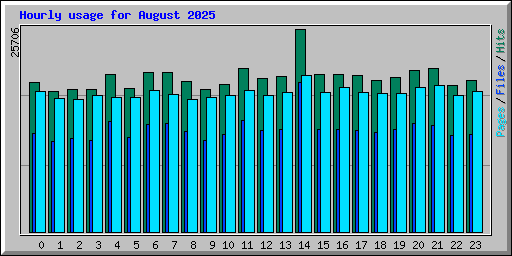 Hourly usage for August 2025