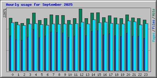 Hourly usage for September 2025