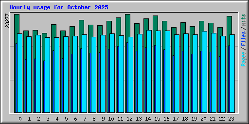 Hourly usage for October 2025