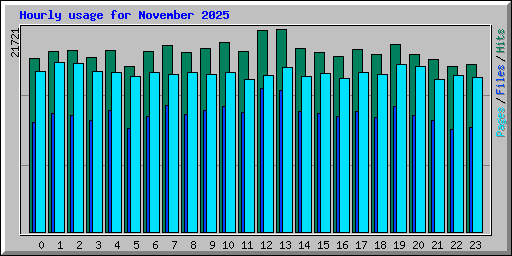 Hourly usage for November 2025