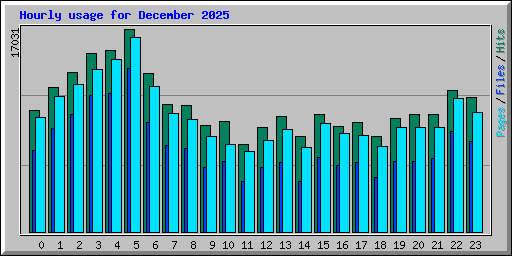 Hourly usage for December 2025