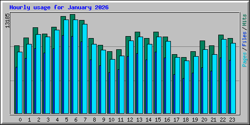 Hourly usage for January 2026