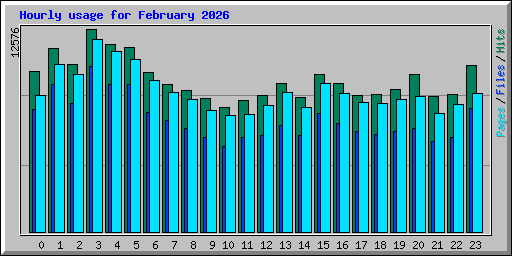 Hourly usage for February 2026