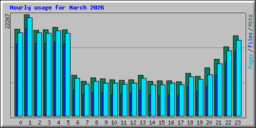 Hourly usage for March 2026